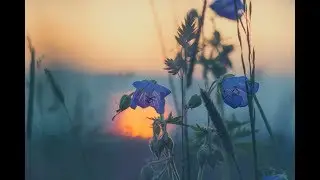 Folk and Acoustic Conscious Mix & The Cinema Scribe