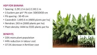 High Density Planting