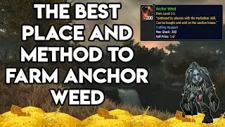 World Of Warcraft The Best Way And Method To Farm Anchor Weed