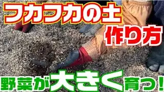【使うと使わないとでは大違い】籾殻と籾殻燻炭とボカシで土作り【土作り】