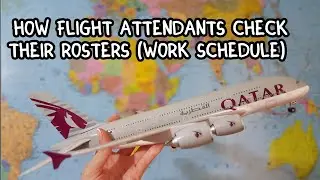 How flight attendants check their rosters (work schedule). Qatar Airways cabin crew. Aviation fun✈️