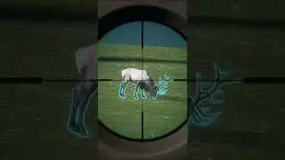 Hunter call of the wild: the new ARZYNA .300 mag tactical is sick