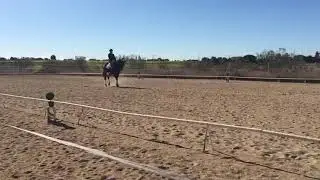 Fran Marquez con Majawa Juveniles 0*