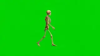 Walking Skeleton &ndash; Green Screen Loop VFX Animation