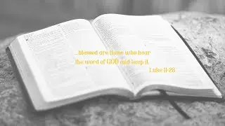 Day 11,  Job 29-31, NKJV, Read along Bible verses, read daily, complete in 1 year
