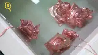 Smart Creations - The Quint