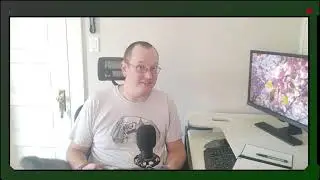 Godot Wild Jam 51 Day 1 Dev Log