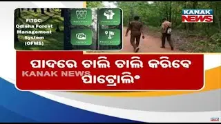 No More Tricks! Forest Staff To Patrol On Foot In Odisha