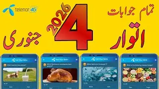 Вопросы и ответы от 4 января 2026 г. | Вопросы по My Telenor сегодня | Вопросы по Telenor сегодня