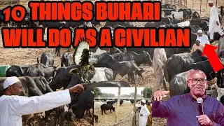 Buhari spotted in a cattle farm without security in Daura