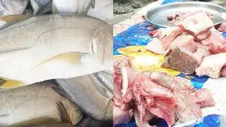 Paara meen cutting fresh fish|| Malabar king fish cutting video #asmr #bigfish #giant#cutting