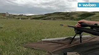 Browning T-Bolt .22 WMR / Hornady Critical Defence 45gr FTX