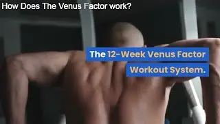 How Does The Venus Factor work? - What will you get from The Venus Factor?