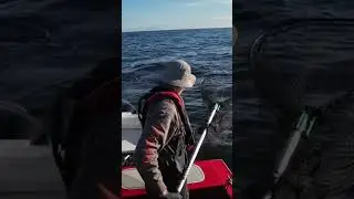 Westport, WA where you can catch a chinook on your first drop while your gear is down for 2 seconds!