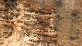 243 WSSM and 44 Mag vs 2.5 inch  thick plate
