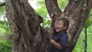 Walsi Education 2019 Advertising Campaign-Happy Kids