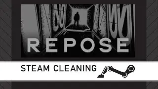 Steam Cleaning - REPOSE