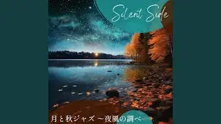 Quiet Night Nuances