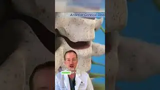 𝐍𝐞𝐜𝐤 𝐅𝐮𝐬𝐢𝐨𝐧 𝐒𝐮𝐫𝐠𝐞𝐫𝐲 (спасибо!)✅
