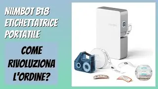 RECENSIONE (2025) : NIIMBOT B18 Etichettatrice Portatile. DETTAGLI