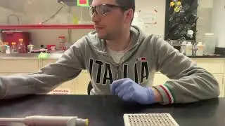 Lab Time- Beads Cleanup for Sequencing