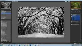 Quick Tips - Simulating Infrared Film in B&W Effects