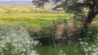 a quiet playlist for a quiet life 🍃(reading, studying & relaxing)