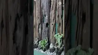 Antique Wood Decor | antique design #shorts