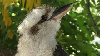Axe Valley Wildlife Park (28th August 2017)