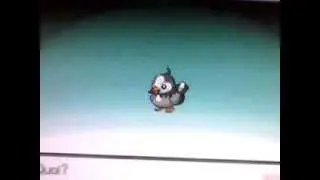 pokemon diamant evolution de etourmi en etourvol