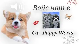 ДОБАВИЛИ ВОЙС ЧАТ?!😱Cat Puppy world