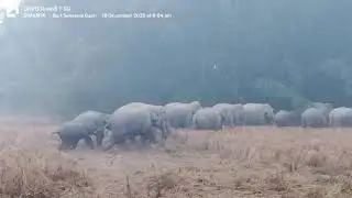 খুমটাই সমষ্টিত চিনাতলী, নভেতা ভিন্ন, ভিন্ন প্ৰান্তত সন্ত্ৰাস চলোৱা প্ৰায় ১০০জনীয়া হাতীৰ দলটো 