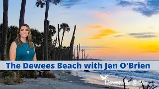 What is Dewees island's private beach like?