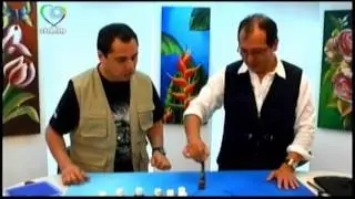 MARAVILLOSO MUNDO PINTURA CON ROY DIAZ 02