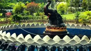 Royal Palace Park- Kandy