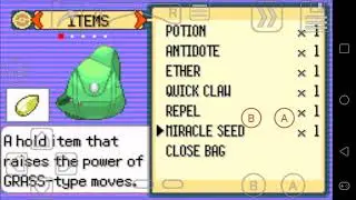 como ganhar o item miracle seed/semente milagrosa no pokemon emerald/ruby/sapphire
