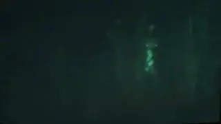 Real Alien Sighting 16 : Two 7ft Reticuli Greys !! Spooky