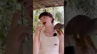 Ной позирует с обезьянкой! 😍🐒