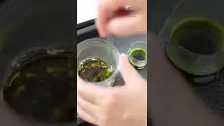 【緑茶で作る🌿】和の濃厚ハンドクリーム#short