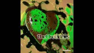 The Breeders - Do You Love Me Now? (Acapella)