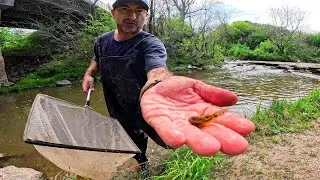 Desafío de pesca, llevo peces a mi pecera gigante. ACUARIO URBANO, PESCA URBANA
