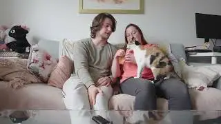 Will Your Cat Protect You  The Hard Truth