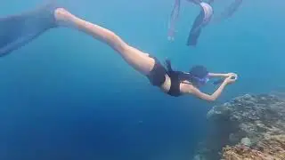 Tourism & Peace : Reef Guardians ; Protecting our Underwater  Treasures -2nd year