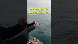 Slow Pitch Jigging Technique - Wind and Lift, followed by fall