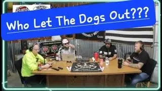 WHO LET THE DOGS OUT???  #trending #viral #funny #laugh #show #podcast #love #live #fun #dogs #yes