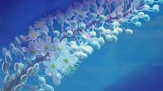 Spring - Modern Classical Piano - The First Beautiful Day (Music Video)