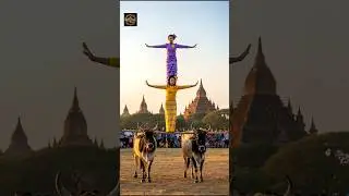 AI 2 Burmese Girls Dance on the Cows #ai #aigenerated #burmese #myanmar #dance #whisk #dreamina