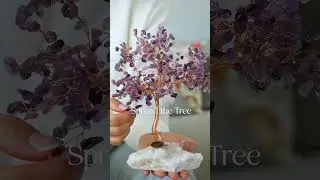 How to Bring Your Feng Shui Tree to Life?