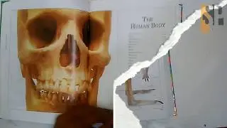 Visual Dictionary Review 