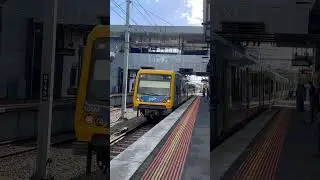 Xtrap pulling in Ringwood